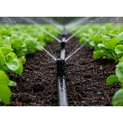 AGRO & POULTRY AFRICA - KENYA 2026 AGRO & POULTRY AFRICA - KENYA 2026